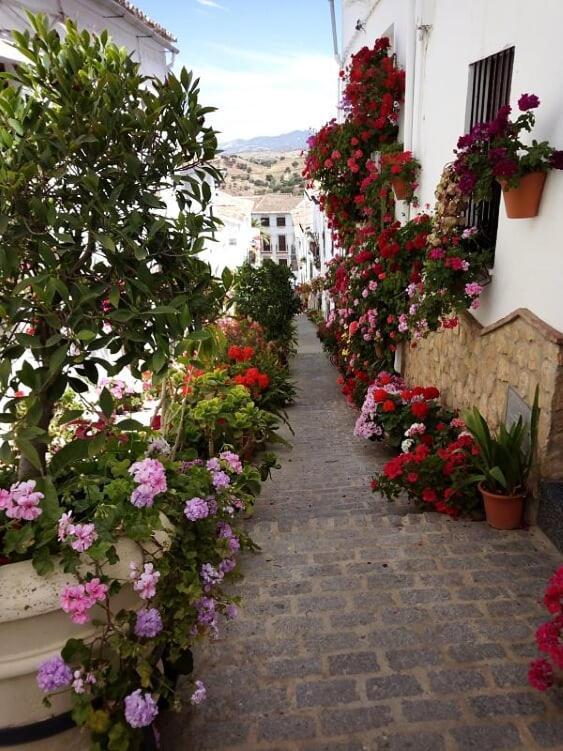 Casa De Las Flores - A Picture Perfect Location! Ел Гастор Екстериор снимка