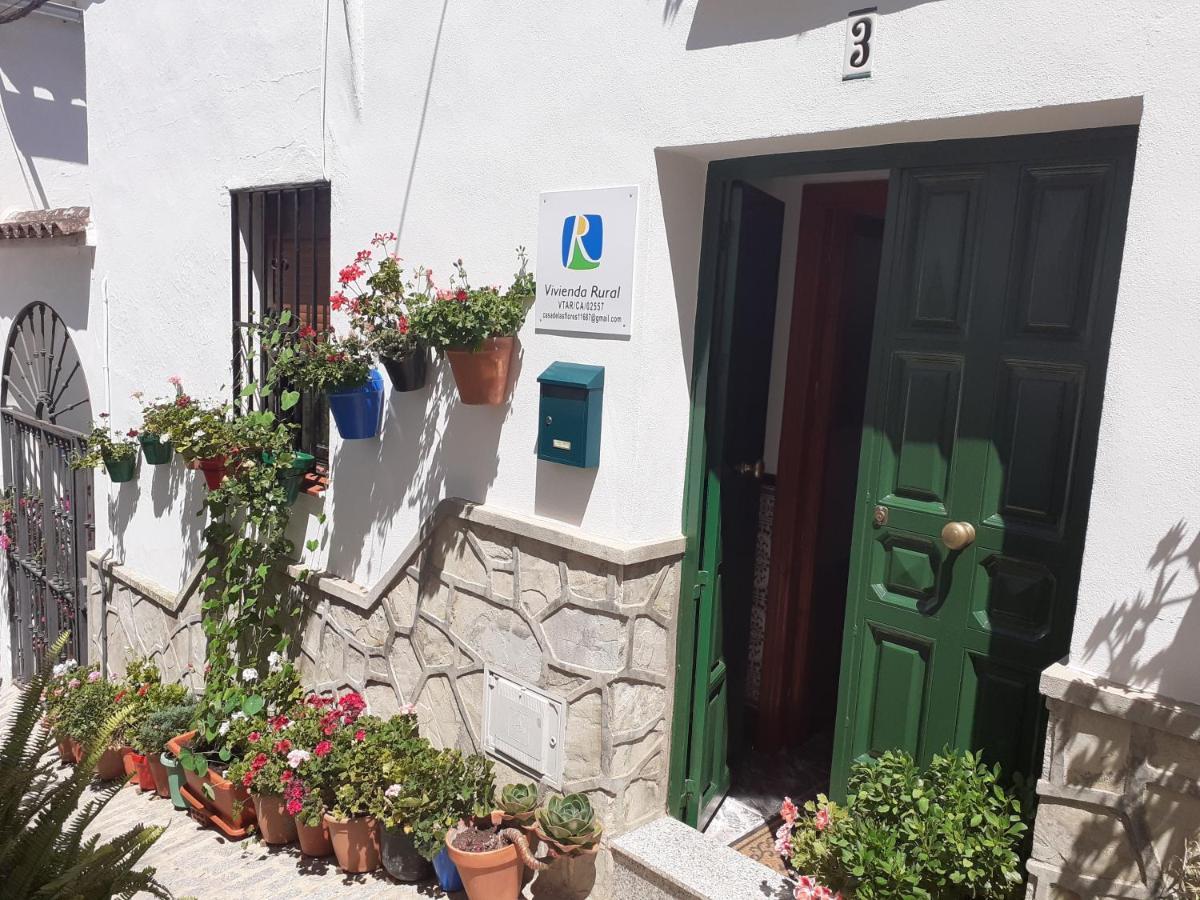Casa De Las Flores - A Picture Perfect Location! Ел Гастор Екстериор снимка