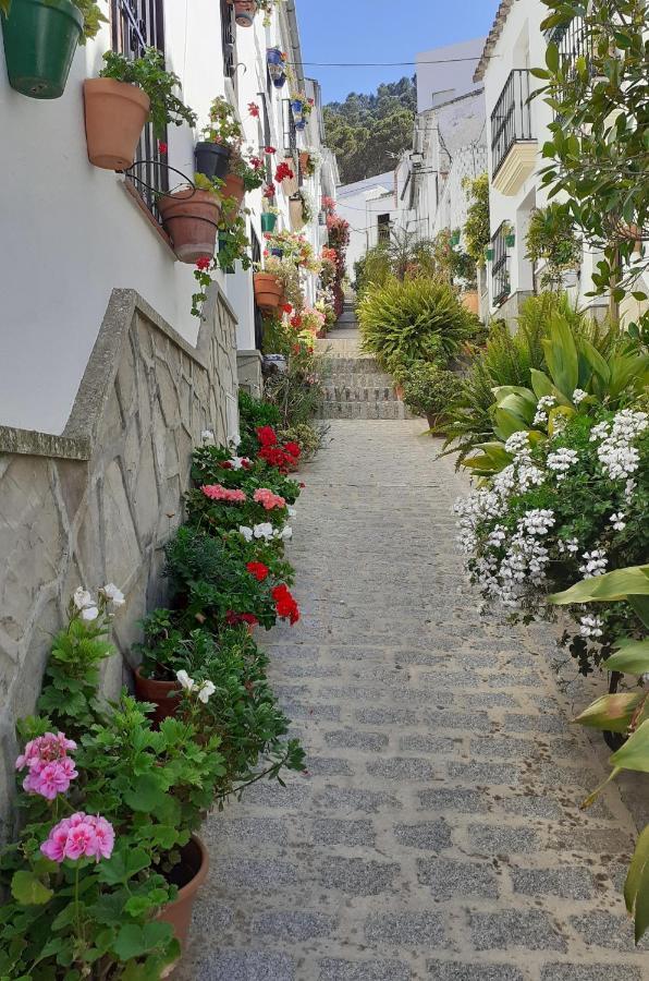 Casa De Las Flores - A Picture Perfect Location! Ел Гастор Екстериор снимка