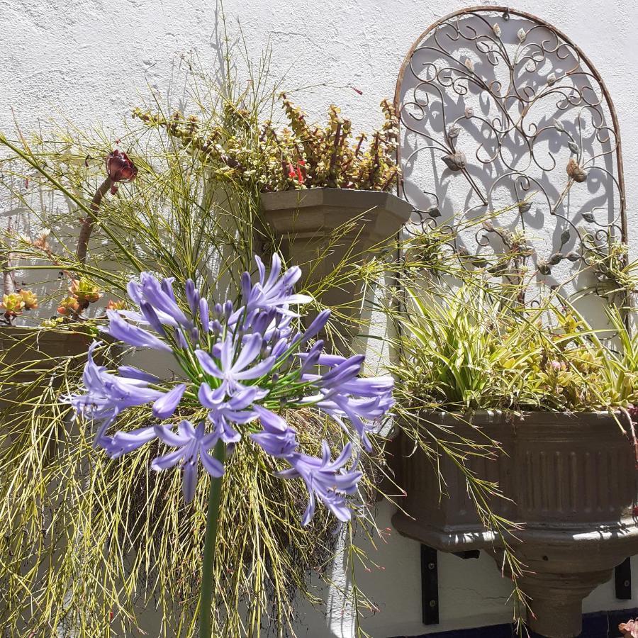 Casa De Las Flores - A Picture Perfect Location! Ел Гастор Екстериор снимка