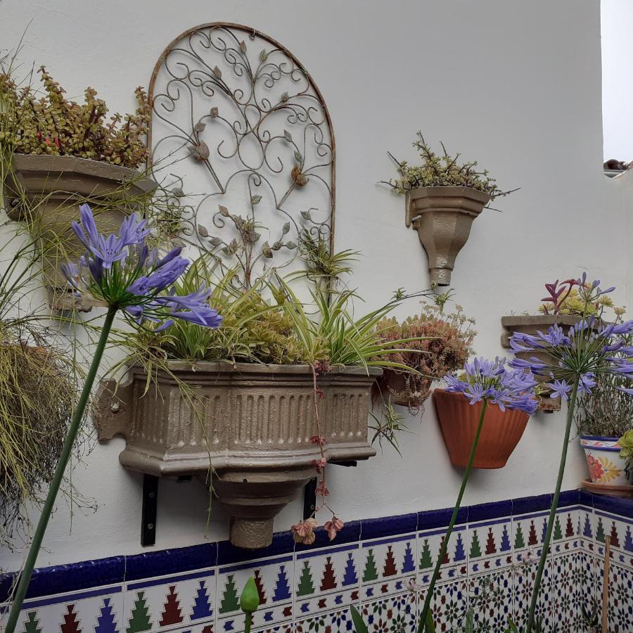 Casa De Las Flores - A Picture Perfect Location! Ел Гастор Екстериор снимка