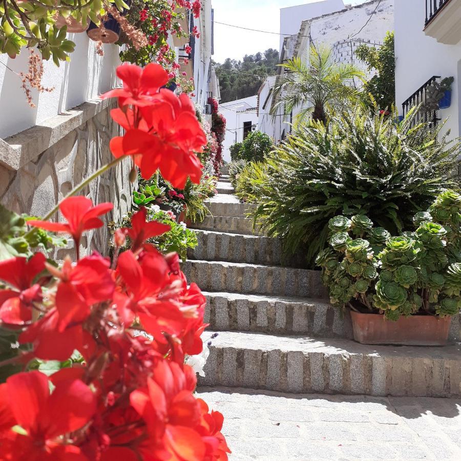 Casa De Las Flores - A Picture Perfect Location! Ел Гастор Екстериор снимка